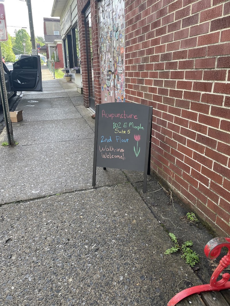 Misty Mountain Medicine Acupuncture Clinic and Herbal Pharmacy photo 2